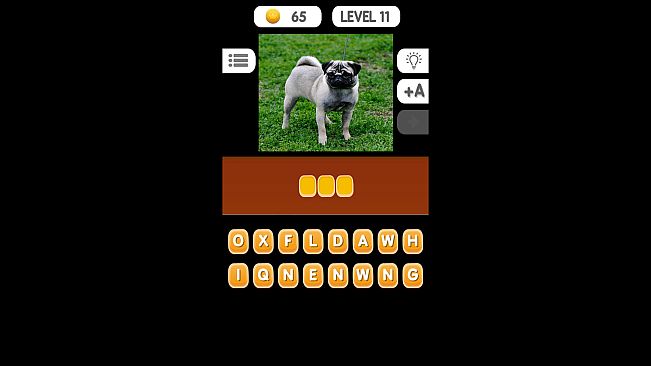 Photo Quiz - Animals