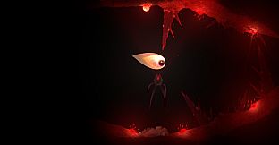 Evolution From the little light