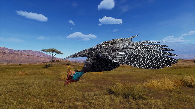 Way of the Hunter - Tikamoon Plains