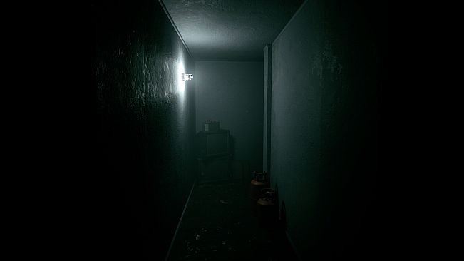 Echoes in Darkness