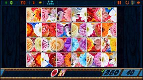 Clutter 12: It's About Time Collector’s Edition