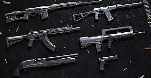 Insurgency: Sandstorm - Carbon Fiber Weapon Skin Set