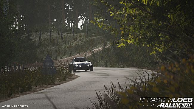 Sébastien Loeb Rally EVO