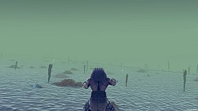 九个世界（Nine worlds）