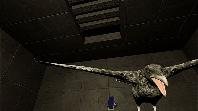 Bird Breakout