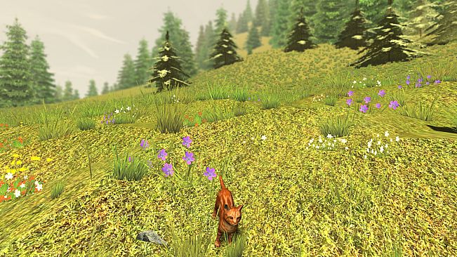 Crunch - Cats in the Meadow DLC