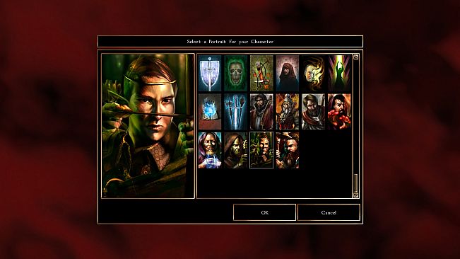 Neverwinter Nights: Heroes of Neverwinter