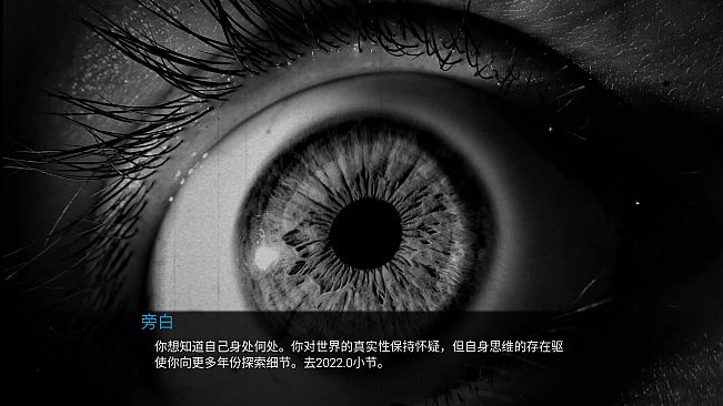 控制论：年份游戏2022