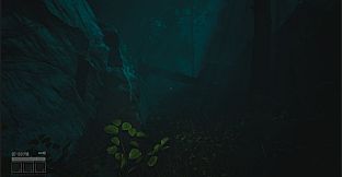 OOTY : Silence Remains