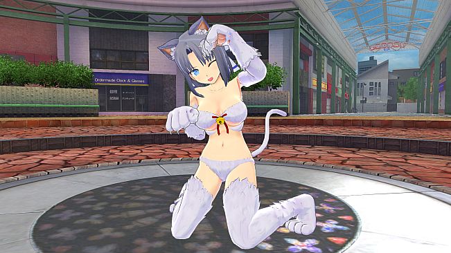 SENRAN KAGURA Peach Ball - New Diorama Pose Quintet