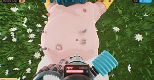 Pain to Satisfaction