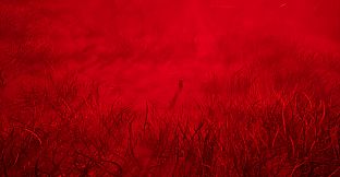 Ravenhill: Initiation