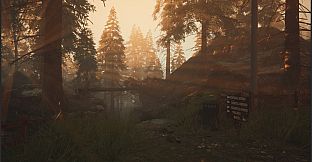 Dark Memories: Investigation