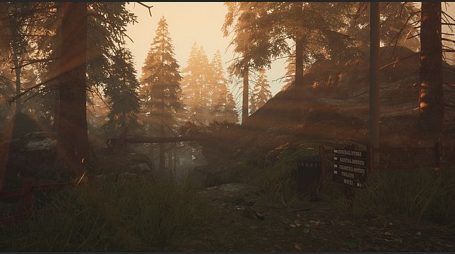 Dark Memories: Investigation