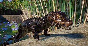 Planet Zoo: Aquatic Pack