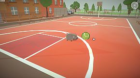 Baby Pygmy Hippo Zoo