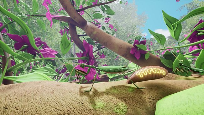 Nature And Life - Drunk On Nectar