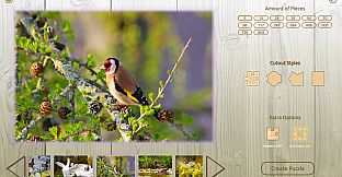 House of Jigsaw: Amazing Birds