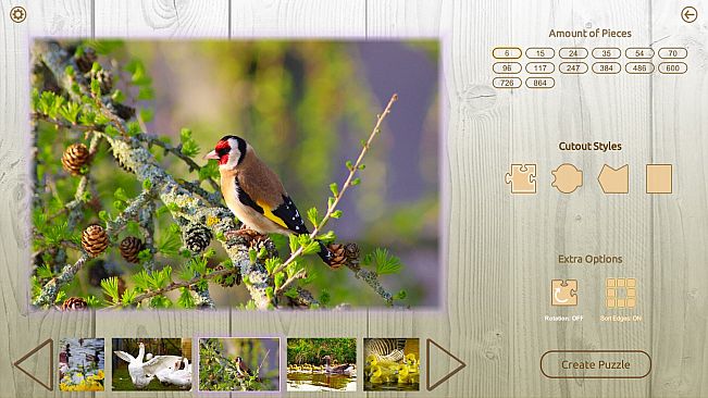 House of Jigsaw: Amazing Birds