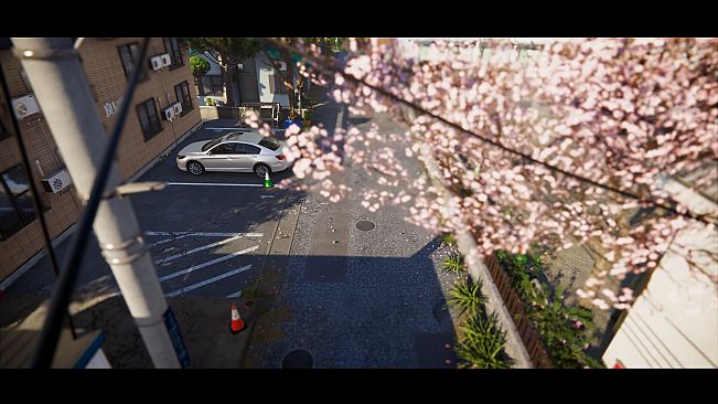 Project Sakura
