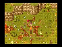 Путешествие паладина