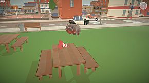 Baby Pygmy Hippo Zoo