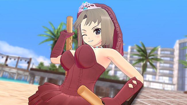 SENRAN KAGURA ESTIVAL VERSUS - Surprise Pack