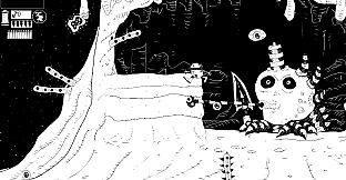 after the meteor shower