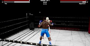 Boxing Simulator