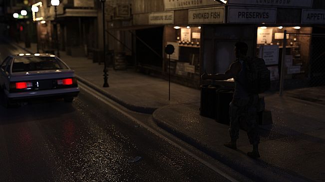 A Soldier's Struggle