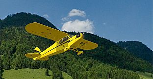 RealFlight Evolution – Hangar 9 Clipped-Wing Cub 10cc