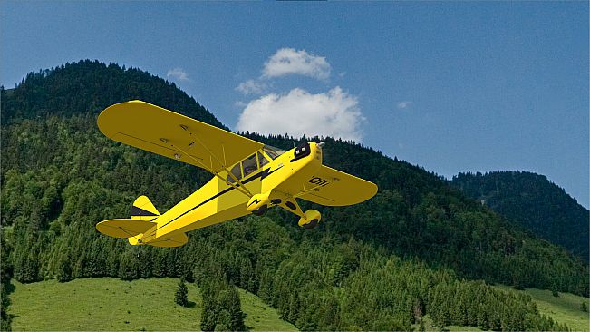 RealFlight Evolution – Hangar 9 Clipped-Wing Cub 10cc