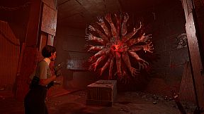 Directorate Novitiate