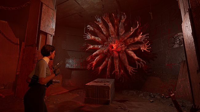 Directorate Novitiate