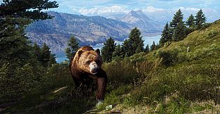 Way of the Hunter - Aurora Shores