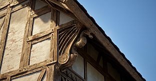 Founder's Pack Upgrade: Master