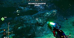 Deep Diving Adventures 2
