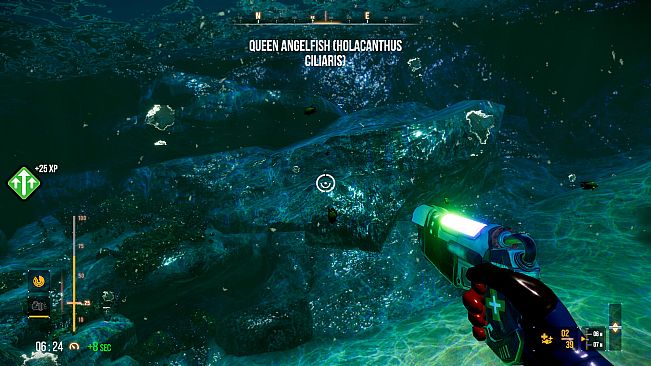 Deep Diving Adventures 2