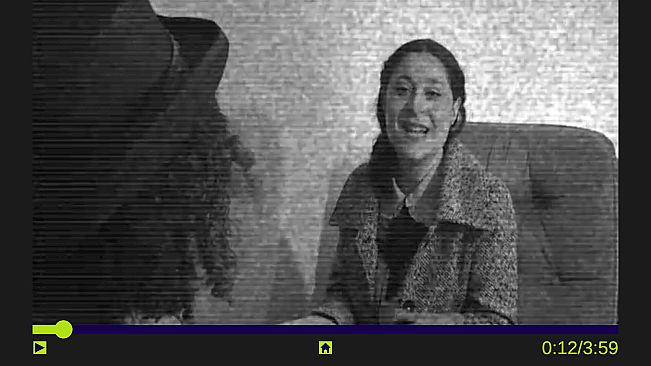 Radley Ravencroft's Spy Web Mystery