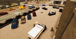 Cash Guardian: Collector Operation "Capital Defense"