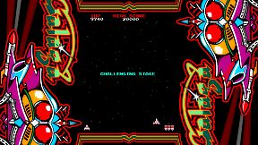 ARCADE GAME SERIES: GALAGA
