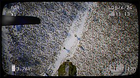 FPV Military Kamikaze Drone Simulator