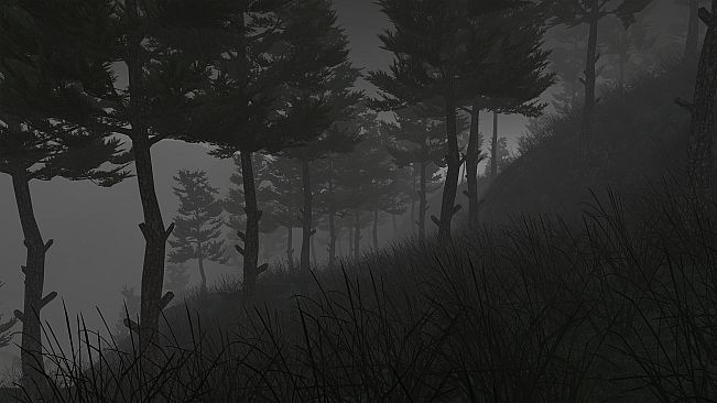 Lost in Nature