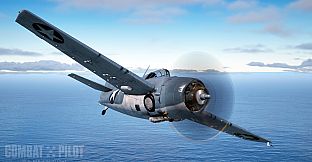 COMBAT PILOT: CARRIER QUALIFICATION