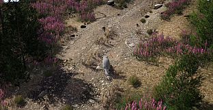 Cazzarion: Raccoon Valley