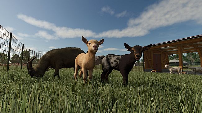 Farming Simulator 25: Year 1 Bundle