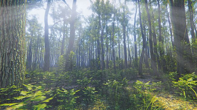 Mindfulness Simulator - ASMR Meditation Game