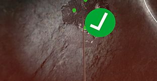 Health and Safety VR Training Bundle