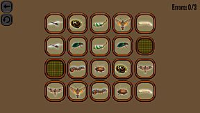 Animals Memory: Insect