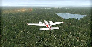 FSX: Steam Edition - Natural Tree Environment X Add-On